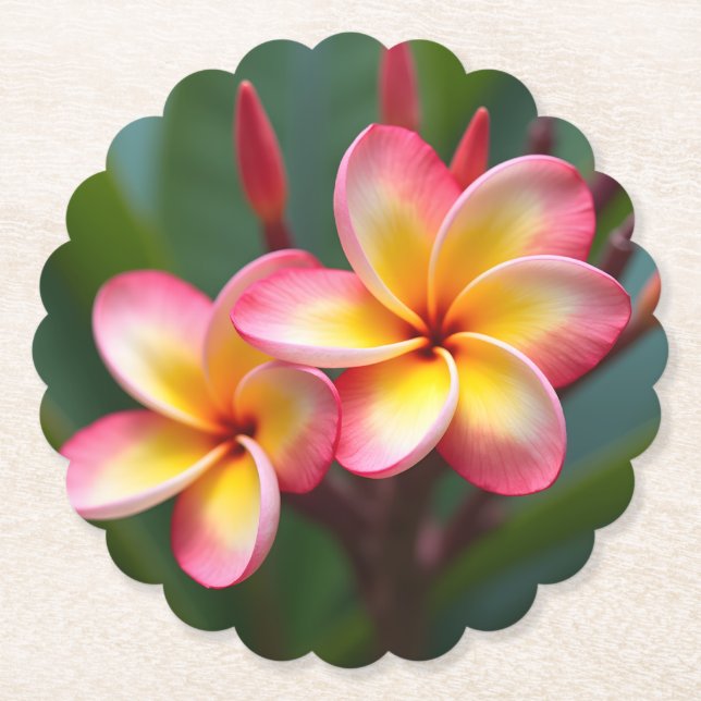 Frangipani Dwarf Tri Color Delight Untersetzer (Vorderseite)