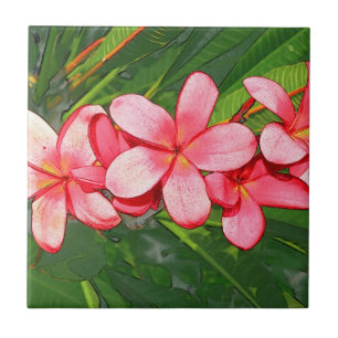 Frangipani Fliese