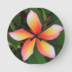 Frangipani flower runde wanduhr