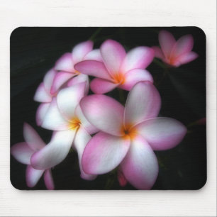 Frangipani in der Blüte Mousepad
