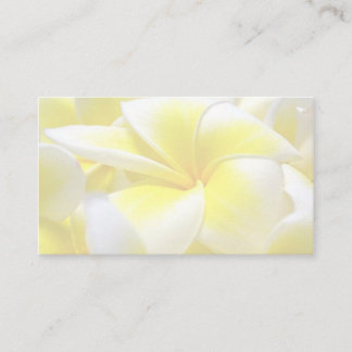 Frangipani / MacLaren Platzkarte