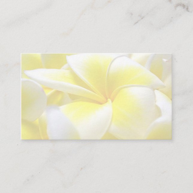 Frangipani / MacLaren Platzkarte (Vorderseite)