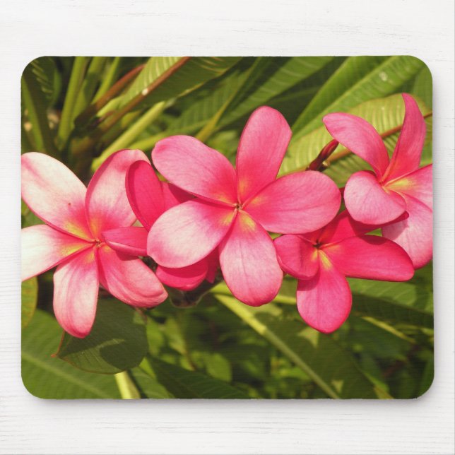 Frangipani Mousepad (Vorne)