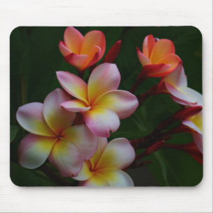 Frangipani Mousepad