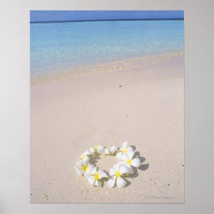 Frangipani on the beach poster