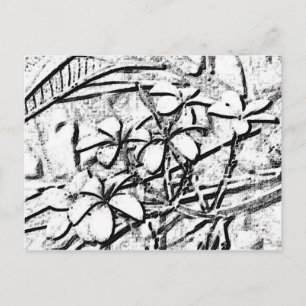 Frangipani Pencil Art Postkarte
