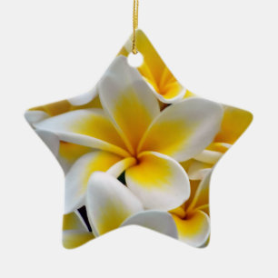 Frangipani Plumeria Blume Foto Keramikornament