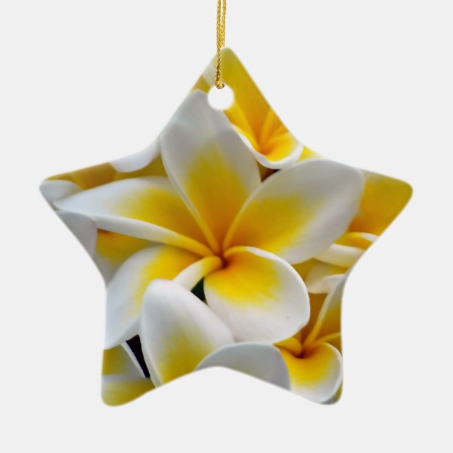 Frangipani Plumeria Blume Foto Keramikornament (Vorne)