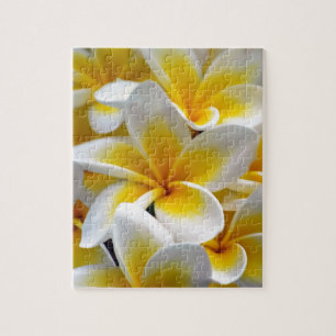 Frangipani Plumeria Blume Foto Puzzle