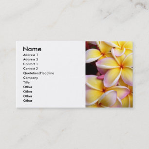 Frangipani - Plumeria Visitenkarte