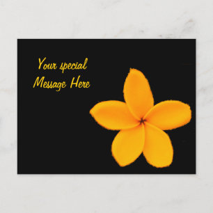 Frangipani Postkarte
