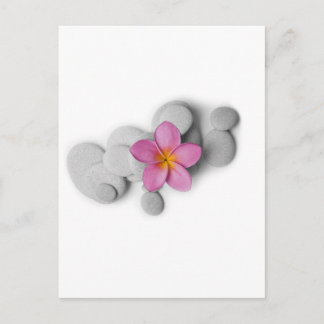 Frangipani-Ruhe Postkarte