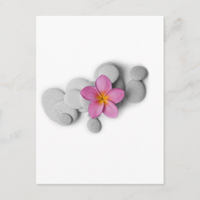 Frangipani-Ruhe Postkarte (Vorderseite)
