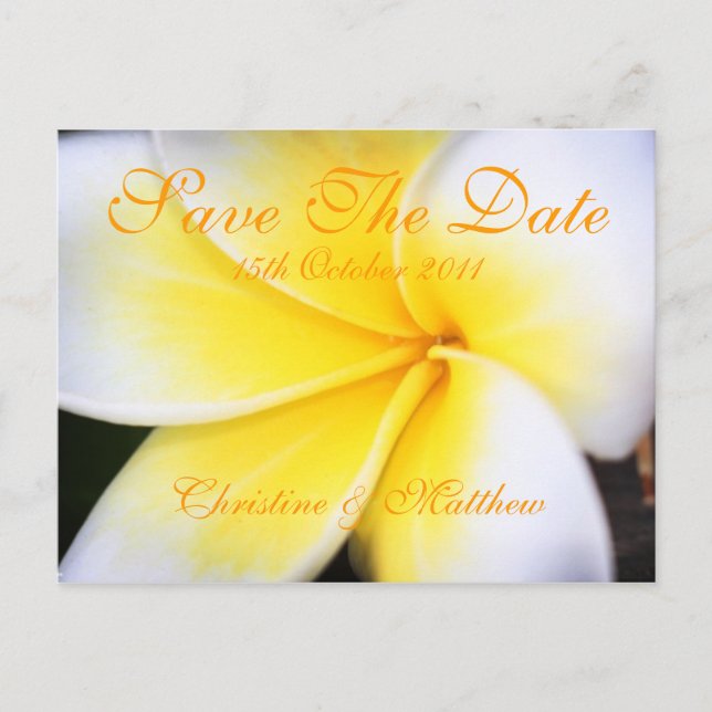 Frangipani - Save the Date Ankündigungspostkarte (Vorderseite)