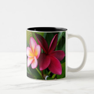 Frangipani-Tasse: Darwin-Sonnenuntergang u. Hilo Zweifarbige Tasse
