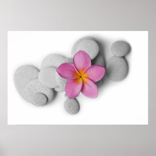 Frangipani und Kies Poster