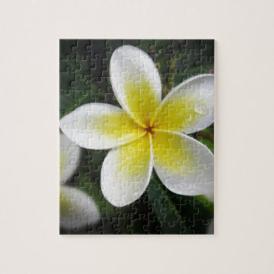 Frangipani-und Regentropfen-Puzzlespiel Puzzle