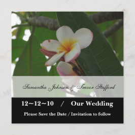 Frangipani Wedding Save the Date Ankündigungen