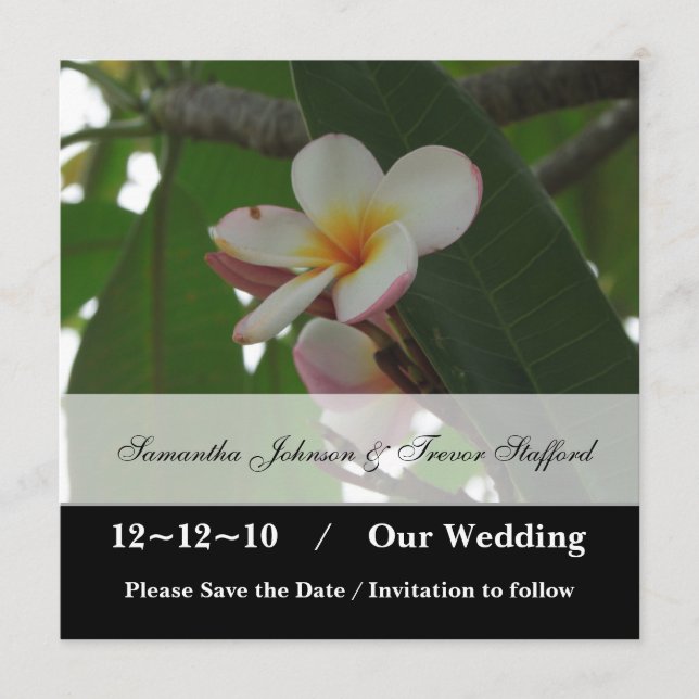Frangipani Wedding Save the Date Ankündigungen (Vorderseite)