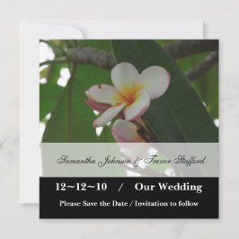Frangipani Wedding Save the Date Ankündigungen