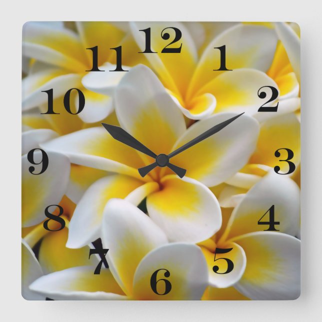 Frangipaniplumeria-Blumen-Foto Quadratische Wanduhr (Vorderseite)