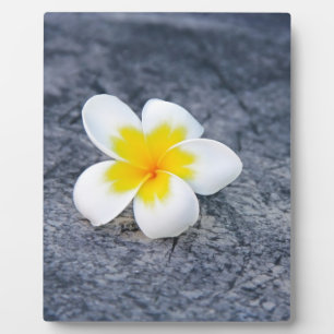 Frangipanis Fotoplatte
