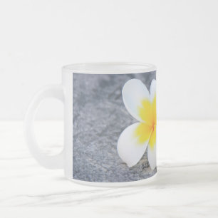 Frangipanis Mattglastasse