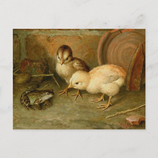 Frank Paton - Sie sind keine Hühnerpostkarte Postkarte (Vorderseite)