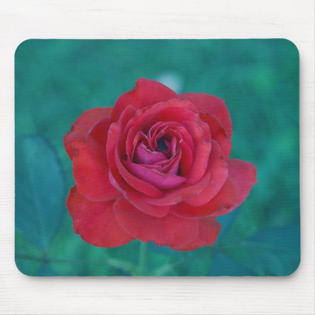 Frank-Rose Mousepad (Vorne)