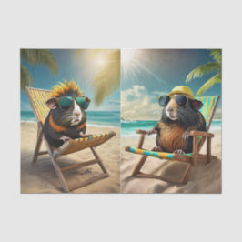 Frankie G & Gerald, Guinea Schweine Go Vaca Seidenpapier