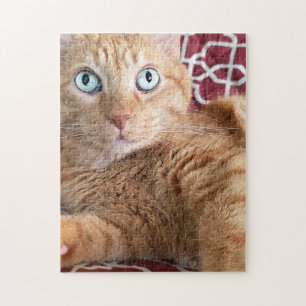 Frankie Puzzle