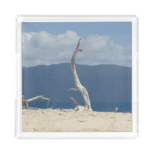 Franklandinseln - Australien - Akryltusche