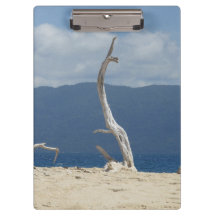 Franklandinseln - Australien