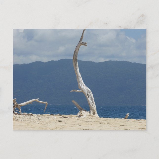 Franklandinseln - Australien Postkarte (Vorderseite)