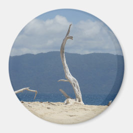 Franklandinseln - Australisches Magnet