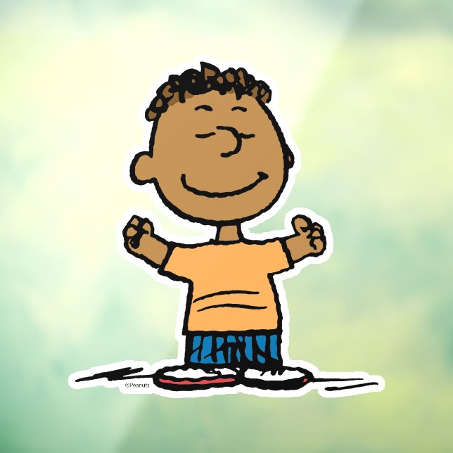 Franklin Arms Wide Fensteraufkleber (Blatt 3)