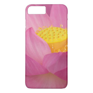 Franklin NC, Perry's Water Garden, Lotus 2 Case-Mate iPhone Hülle