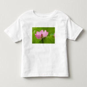 Franklin NC, Perry's Water Garden, Lotus Kleinkind T-shirt