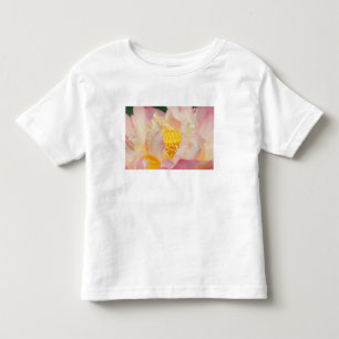 Franklin NC, Perry's Water Garden, Lotus mit Kleinkind T-shirt