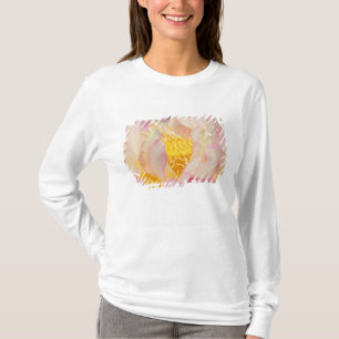 Franklin NC, Perry's Water Garden, Lotus mit T-Shirt