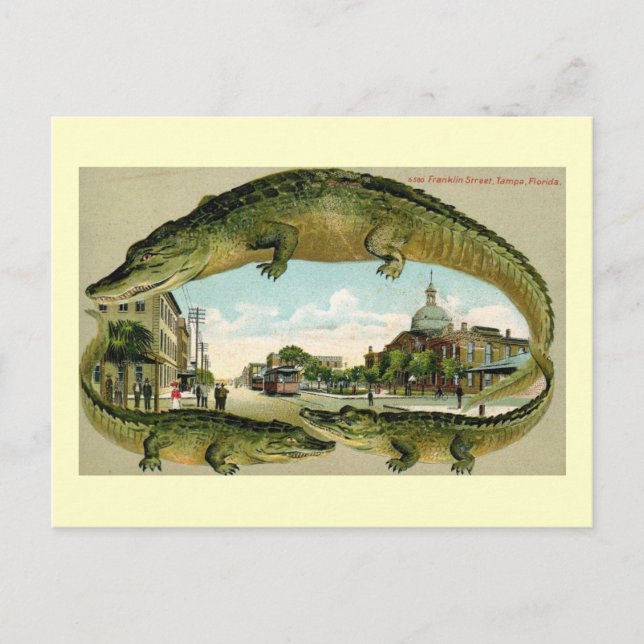 Franklin St., Tampa, Florida Vintag Postkarte (Vorderseite)