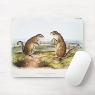 Franklins Marmot-Eichhörnchen-Camping Gear Deko Ge Mousepad