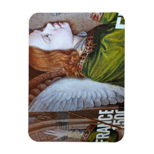 Frankreich 2013 magnet