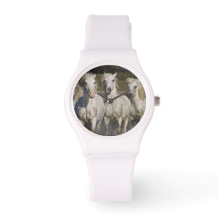 Frankreich, Camargue. Pferde laufen Armbanduhr