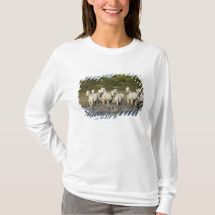 Frankreich, Camargue. Pferde laufen durch die Münd T-Shirt
