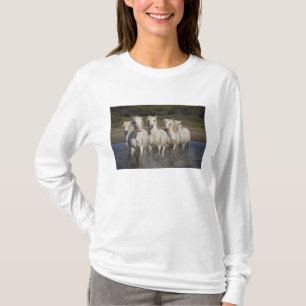 Frankreich, Camargue. Pferde laufen T-Shirt