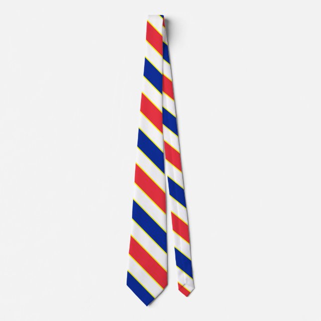 Frankreich Flaggenfarben Elegant Patriotic Neck Ti Krawatte (Vorderseite)