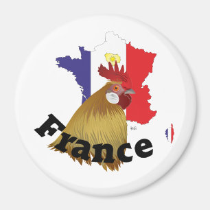 Frankreich Francia Magnete