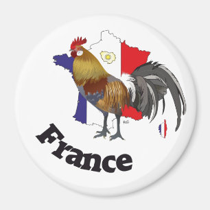 Frankreich Francia Magnete