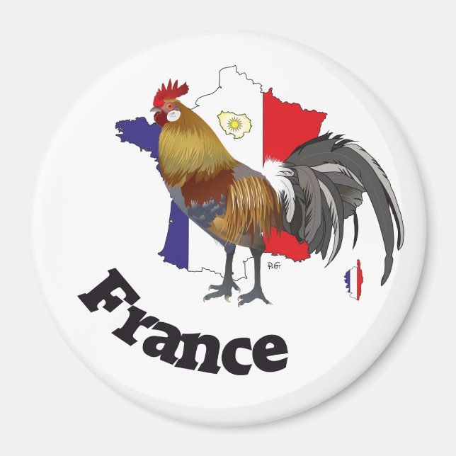 Frankreich Francia Magnete (Vorne)